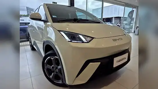 Foto de um byd dolphin mini