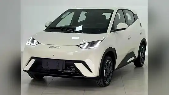 Foto de um byd dolphin mini