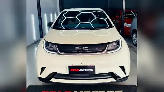 Foto de um byd dolphin