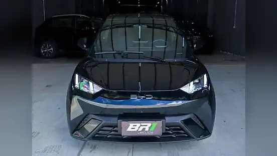 Foto de um byd dolphin mini