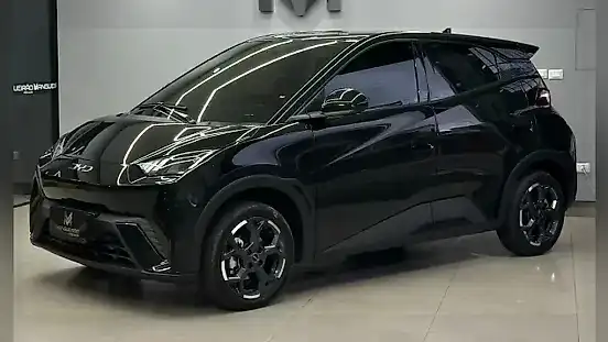 Foto de um byd dolphin mini