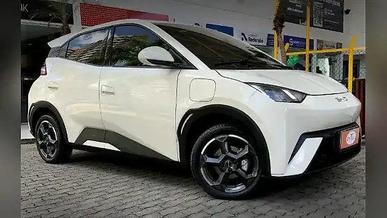 Foto de um byd dolphin mini
