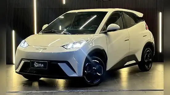 Foto de um byd dolphin mini