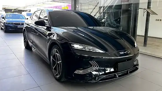 Foto de um byd seal
