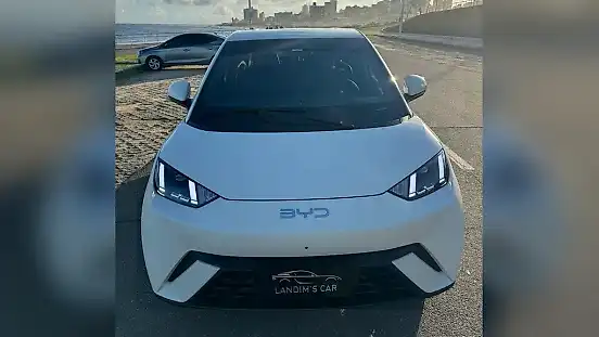 Foto de um byd dolphin mini