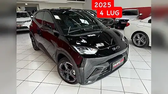 Foto de um byd dolphin mini