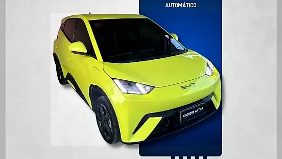 Foto de um byd dolphin mini