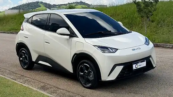 Foto de um byd dolphin mini