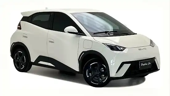Foto de um byd dolphin mini