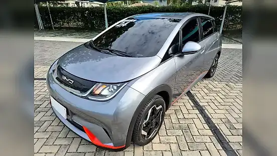 Foto de um byd dolphin