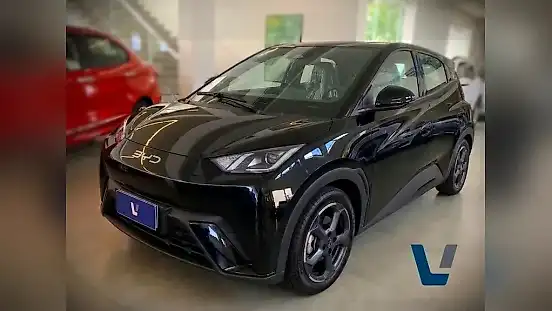 Foto de um byd dolphin mini