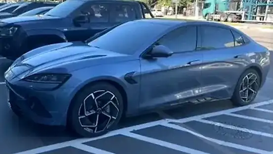 Foto de um byd seal