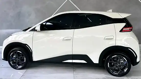Foto de um byd dolphin