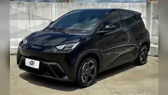 Foto de um byd dolphin mini