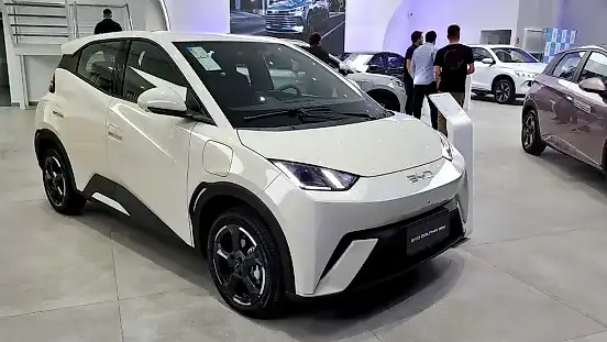 Foto de um byd dolphin mini