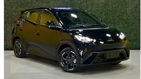 Foto de um byd dolphin mini