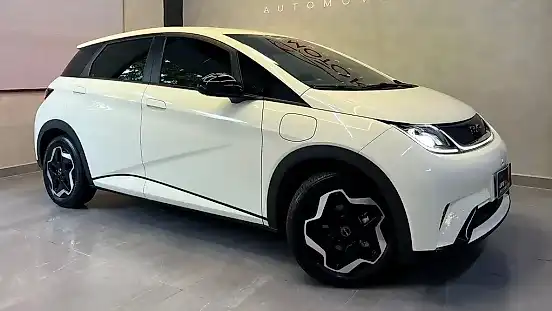 Foto de um byd dolphin
