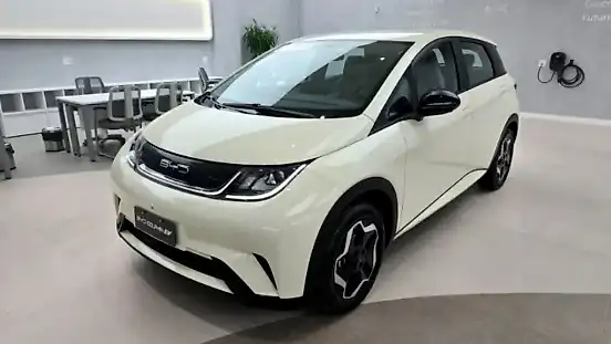 Foto de um byd dolphin