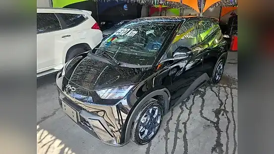 Foto de um byd dolphin mini