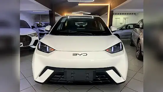 Foto de um byd dolphin mini