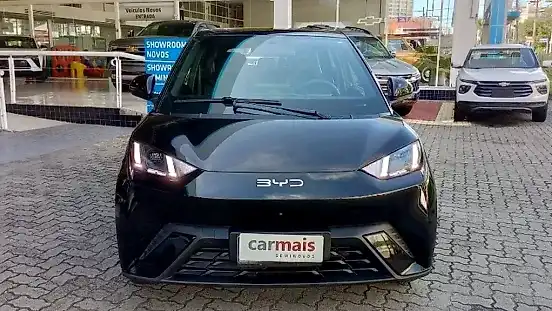 Foto de um byd dolphin mini