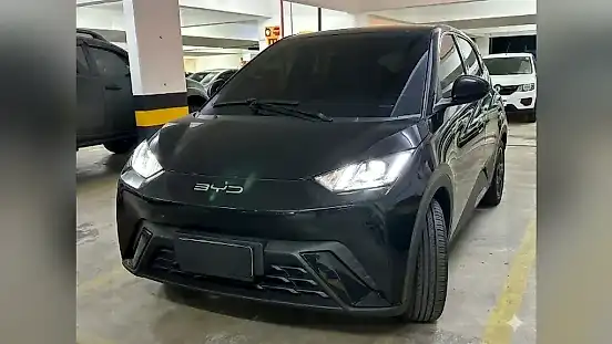 Foto de um byd dolphin mini