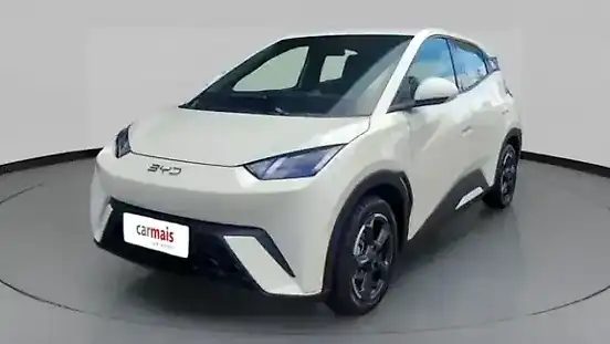 Foto de um byd dolphin mini