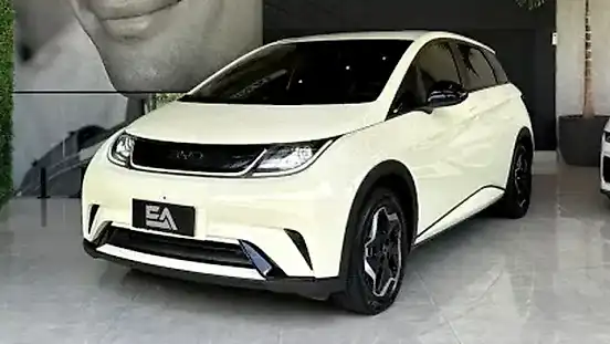 Foto de um byd dolphin