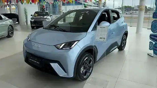 Foto de um byd dolphin mini