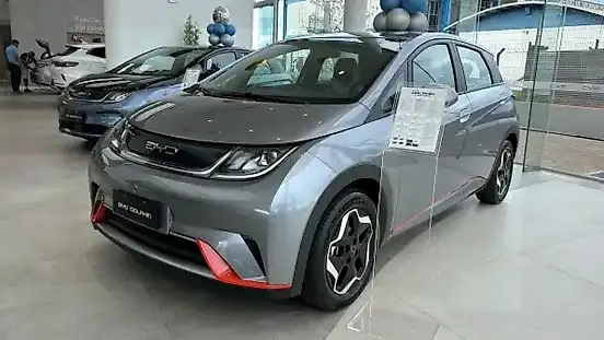 Foto de um byd dolphin