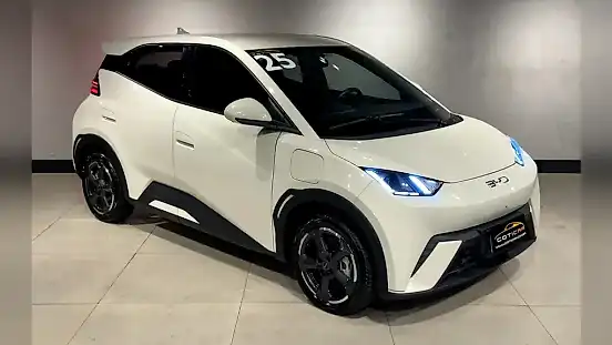 Foto de um byd dolphin mini