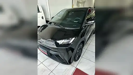 Foto de um byd dolphin mini