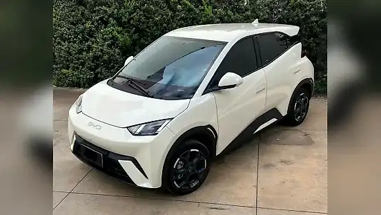 Foto de um byd dolphin mini
