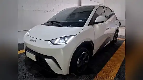 Foto de um byd dolphin mini