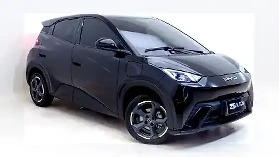 Foto de um byd dolphin mini