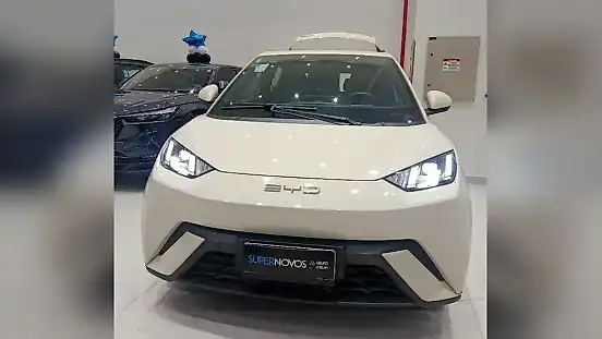 Foto de um byd dolphin mini