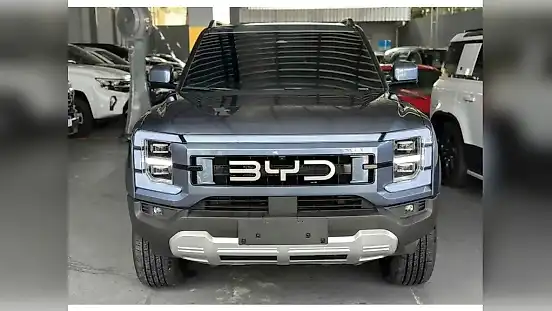 Foto de um byd shark
