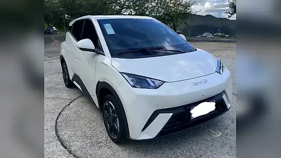 Foto de um byd dolphin mini