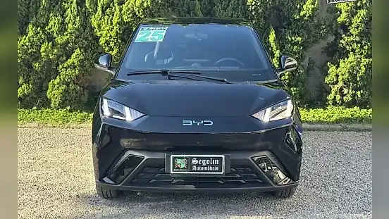 Foto de um byd dolphin mini