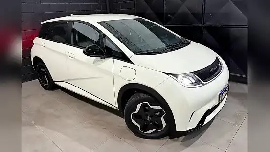 Foto de um byd dolphin
