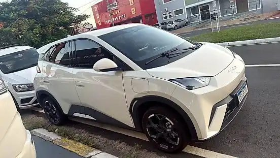 Foto de um byd dolphin mini