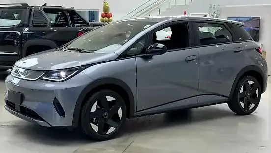 Foto de um byd dolphin plus