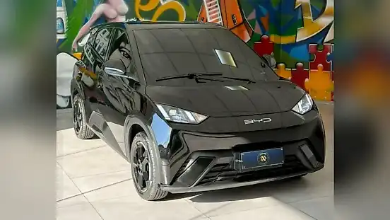 Foto de um byd dolphin mini