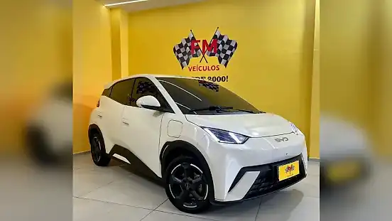Foto de um byd dolphin mini