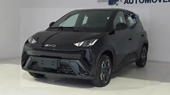 Foto de um byd dolphin mini