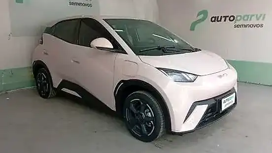 Foto de um byd dolphin mini