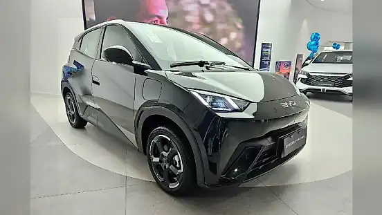 Foto de um byd dolphin