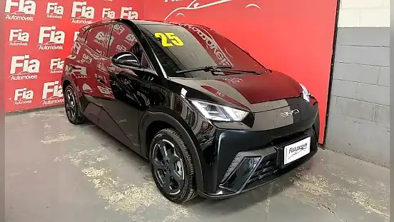 Foto de um byd dolphin mini