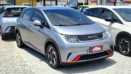 Foto de um byd dolphin