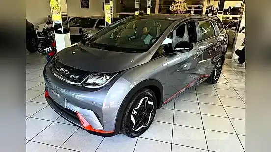 Foto de um byd dolphin
